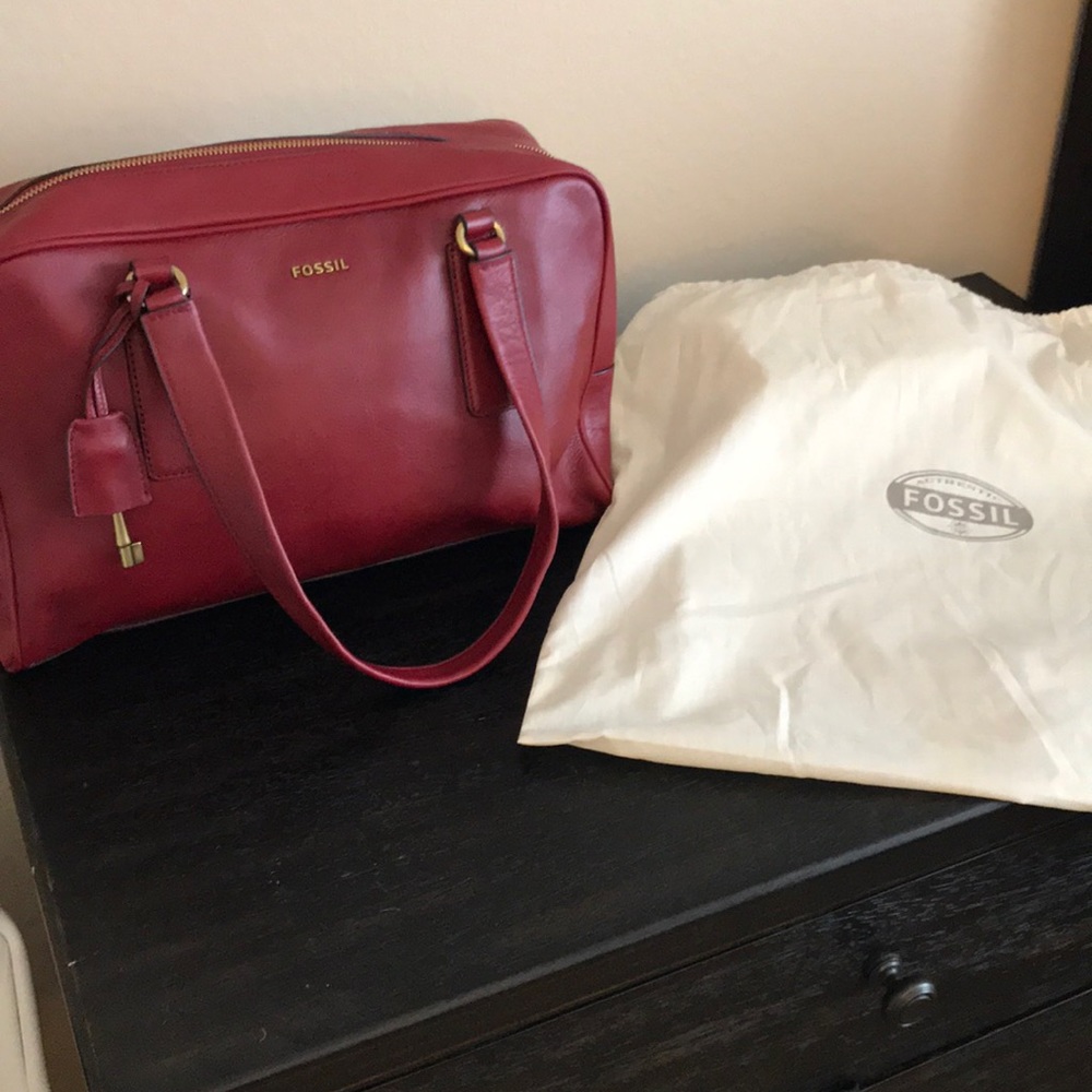Fossil memoir handbag